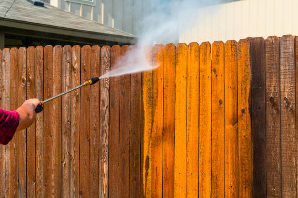 Fence Cleaning