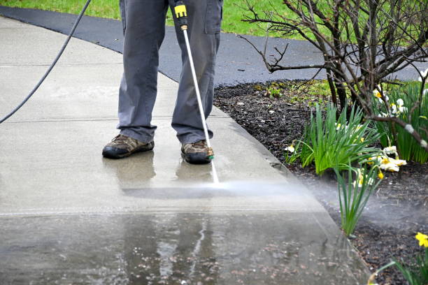 Driveway & Sidewalk Cleaning